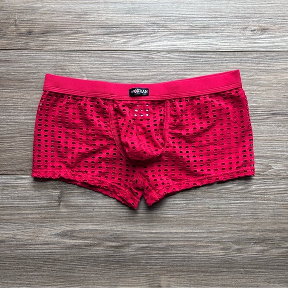 SOLD Mesh See Through Boxer Briefs / Trunks in White (Size Small) - Picture 9 of 11